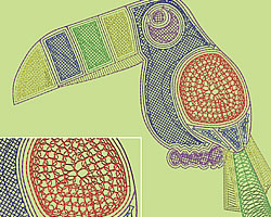 Diseña patrones espiralados de bordado para prendas de vestir - México